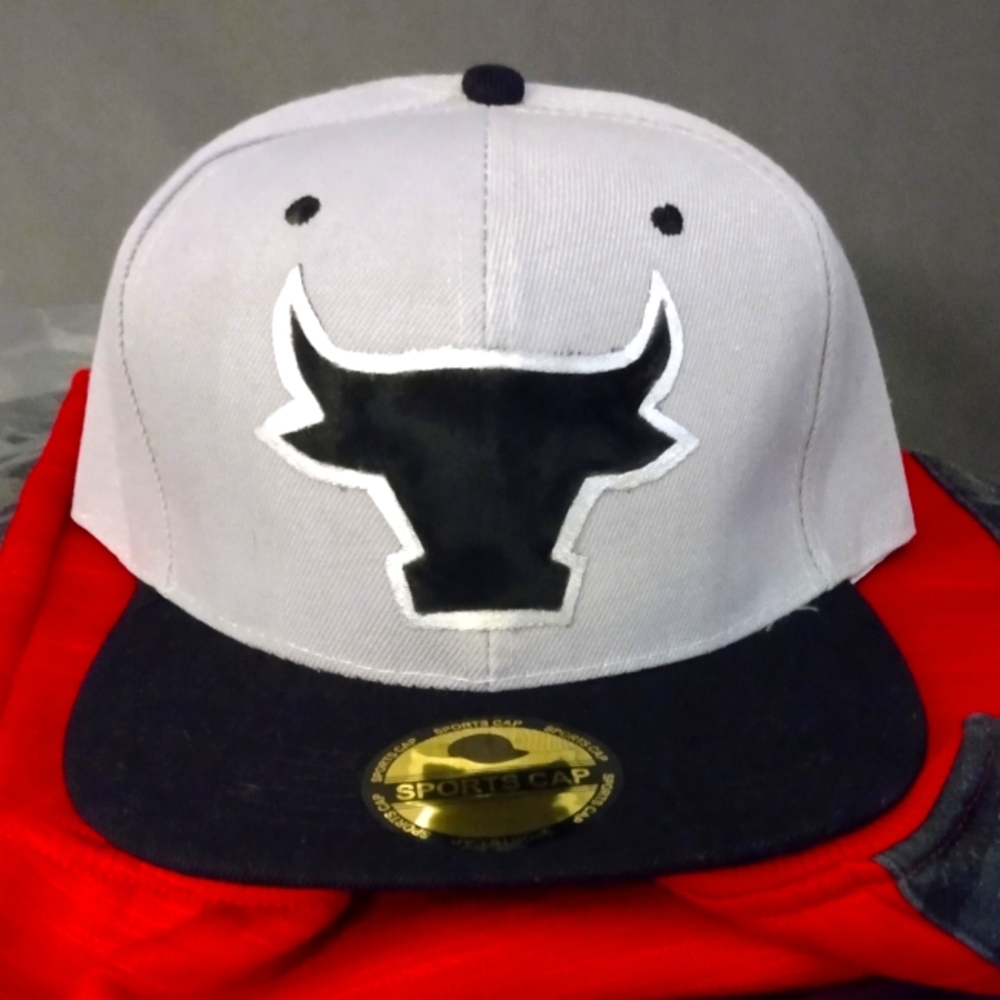 *Custom snapback w/ iconic Bulls sillouite*